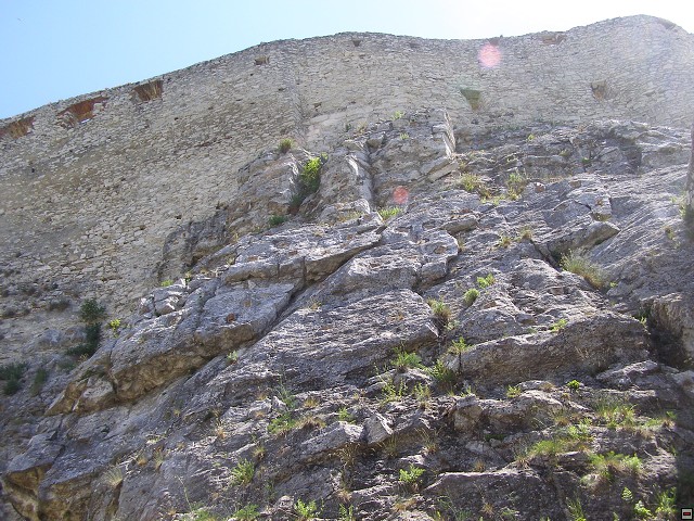 img00154.jpg